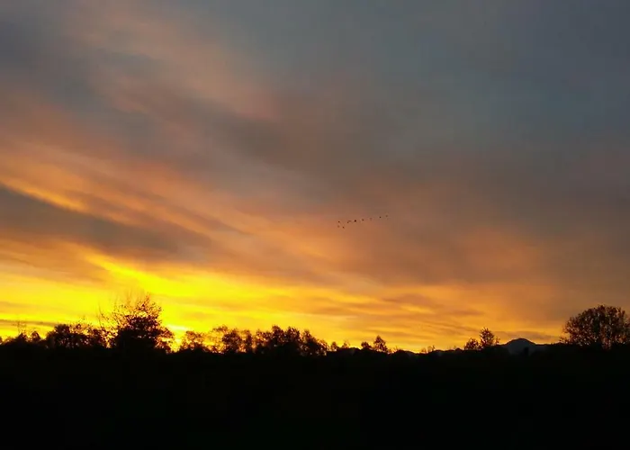 Casa Marvita 3* 库尼奥