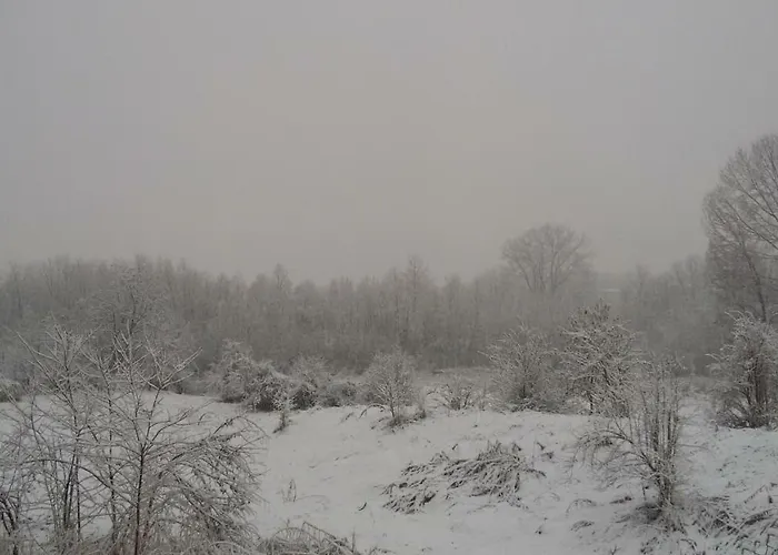 Casa Marvita 库尼奥